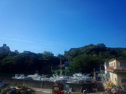 2013-08-22 08.30.28.jpg