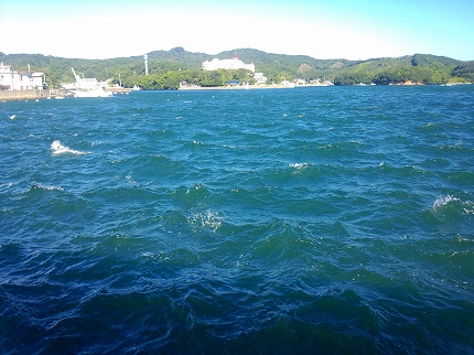 2013-09-26 08.40.44.jpg