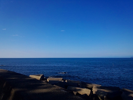2013-10-03 08.11.52.jpg