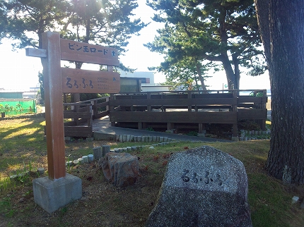 2013-10-03 08.12.33.jpg