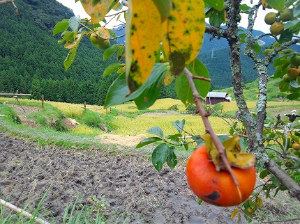 2013-09-10 15.22.17.jpg