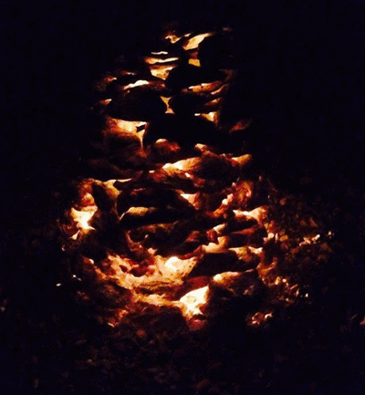 18.gif