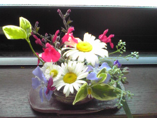 雑草生け花2009年5月