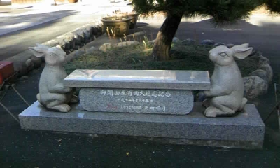 文殊寺のうさぎ