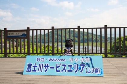 富士川SAにて