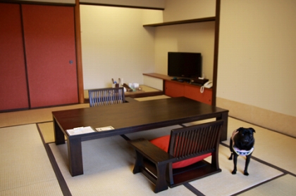 お部屋意外に狭かったかな。