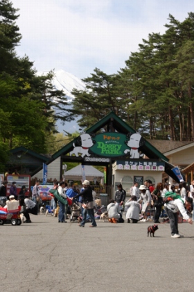 入り口にはすでに人が!