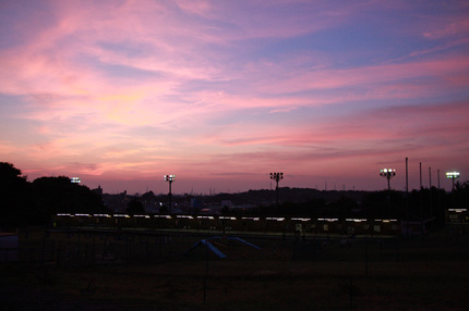 いい感じに夕暮れてきました