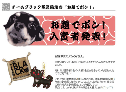 ポータブルトレイとストラップ