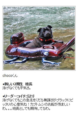 川遊びのチョコ写真です