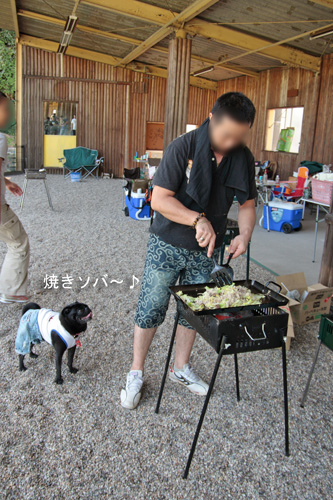 しめの焼きソバ〜