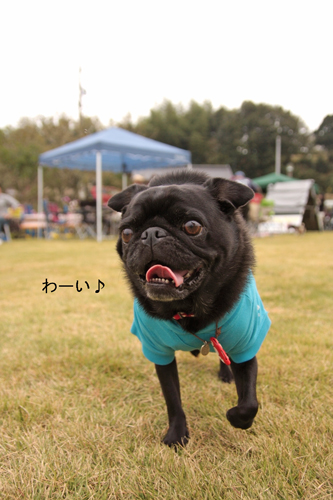 最初から雨がー