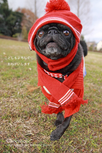 ことしもよろしくおねがいします