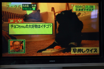 早押しピンポン中