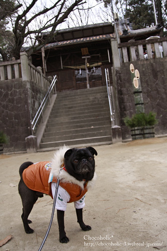 近所の神社へ初詣