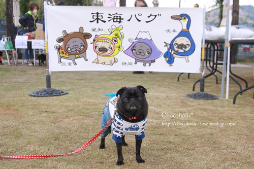 かわいい看板〜!