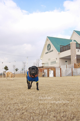 グリーンゲイブルス