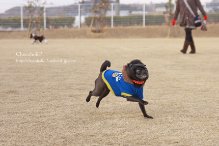 おらー!走れー!