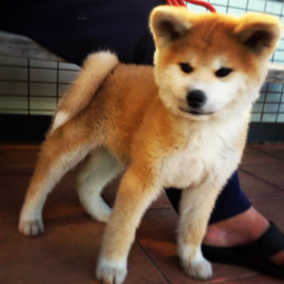 かわいいーーーー!