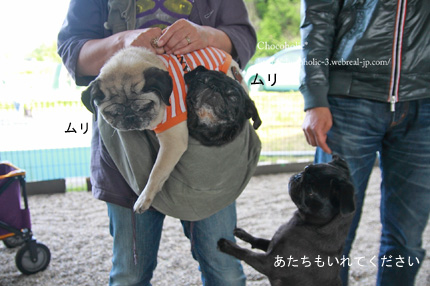 3姉妹
