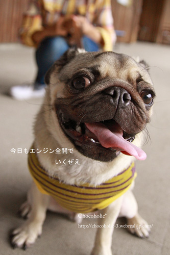 ハグちゃん