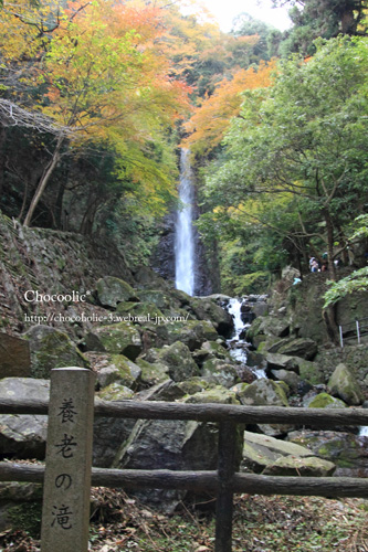 養老の滝