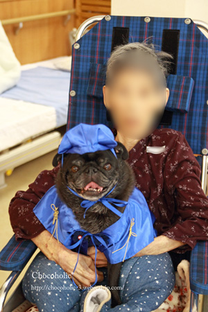 青いちゃんちゃんこも♪