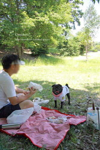 木陰でランチ