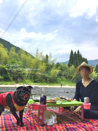 のんびり最高です。