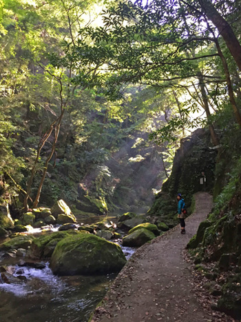 光の帯が