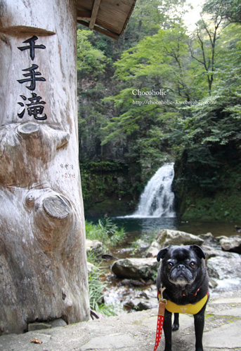 千手滝