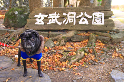 玄武洞公園