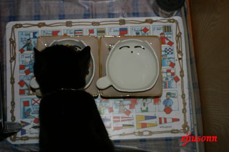 ねこ器1