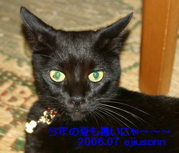 モデルも疲れる
