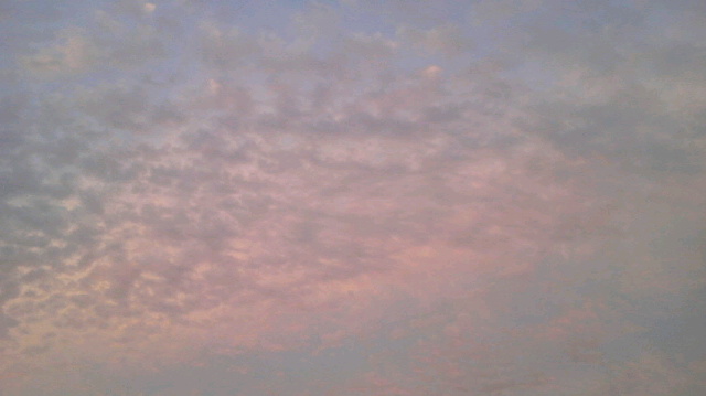2012091918220001.jpg