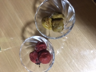 image1.JPG