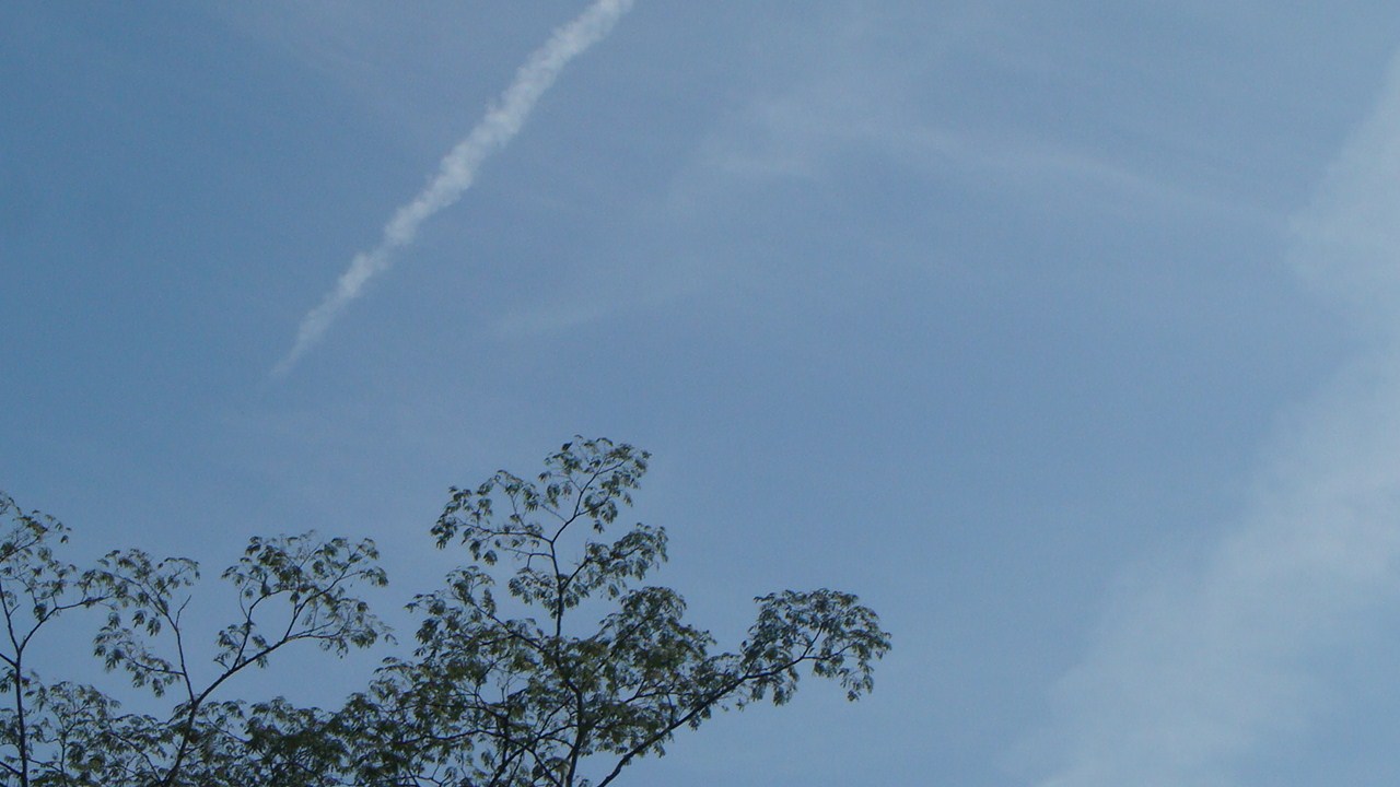 2008-11-6今日の青空