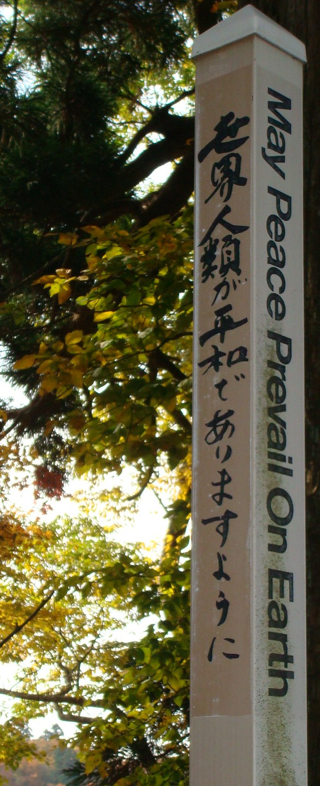 世界へのメッセージ