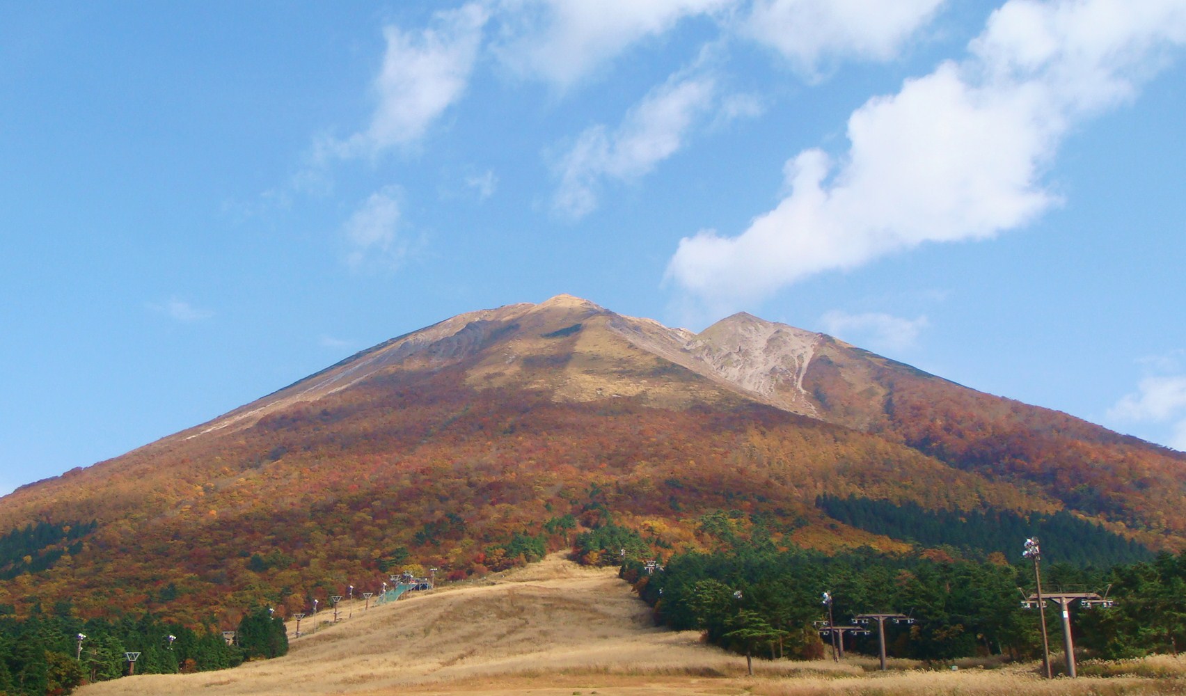 桝水高原の紅葉
