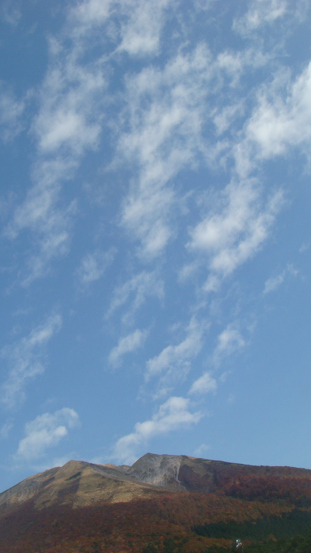 桝水高原の紅葉と青空