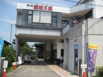 醤油