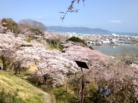 石巻5