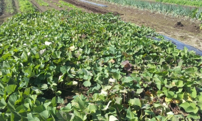 20131013_101348.jpg