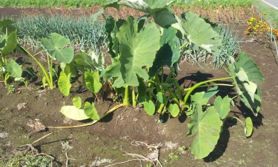 20131013_101357.jpg