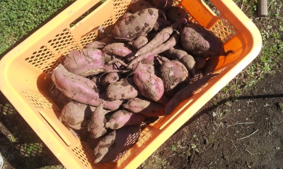 20131013_114151.jpg