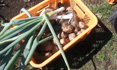 20131013_114216.jpg