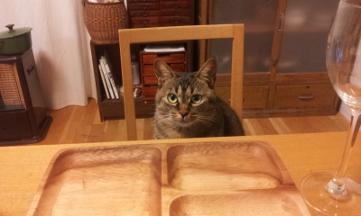 20131016_203133.jpg