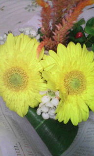 D1000538.jpg