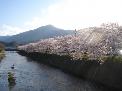 春