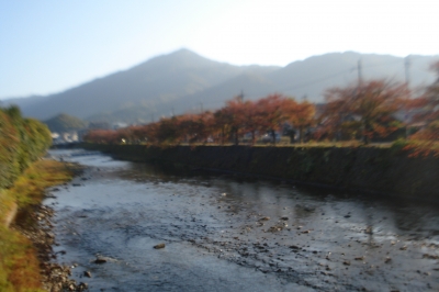 秋